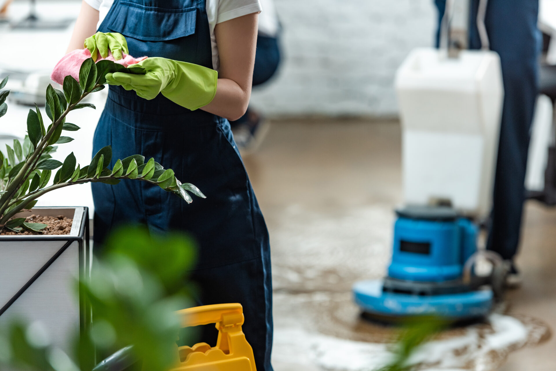 partial view of cleaner wiping office plants with rag near floor cleaning machine